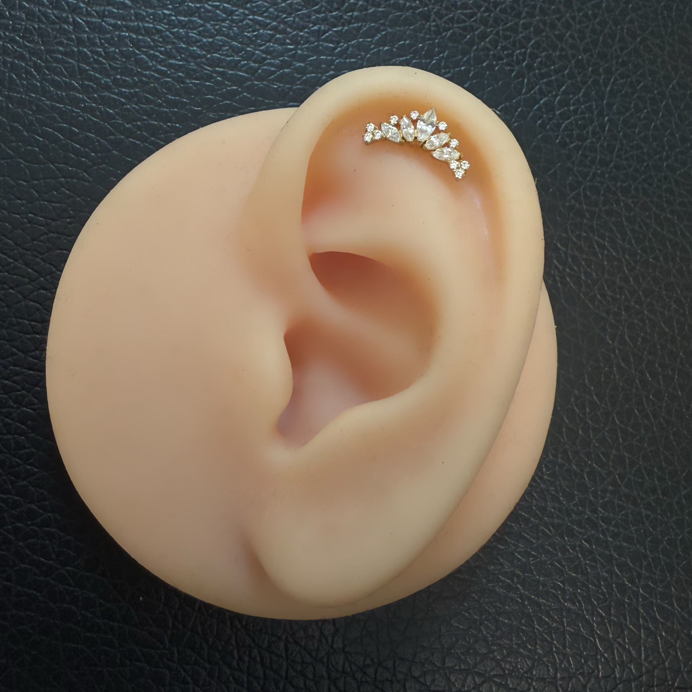 Titanium Tiara Earring