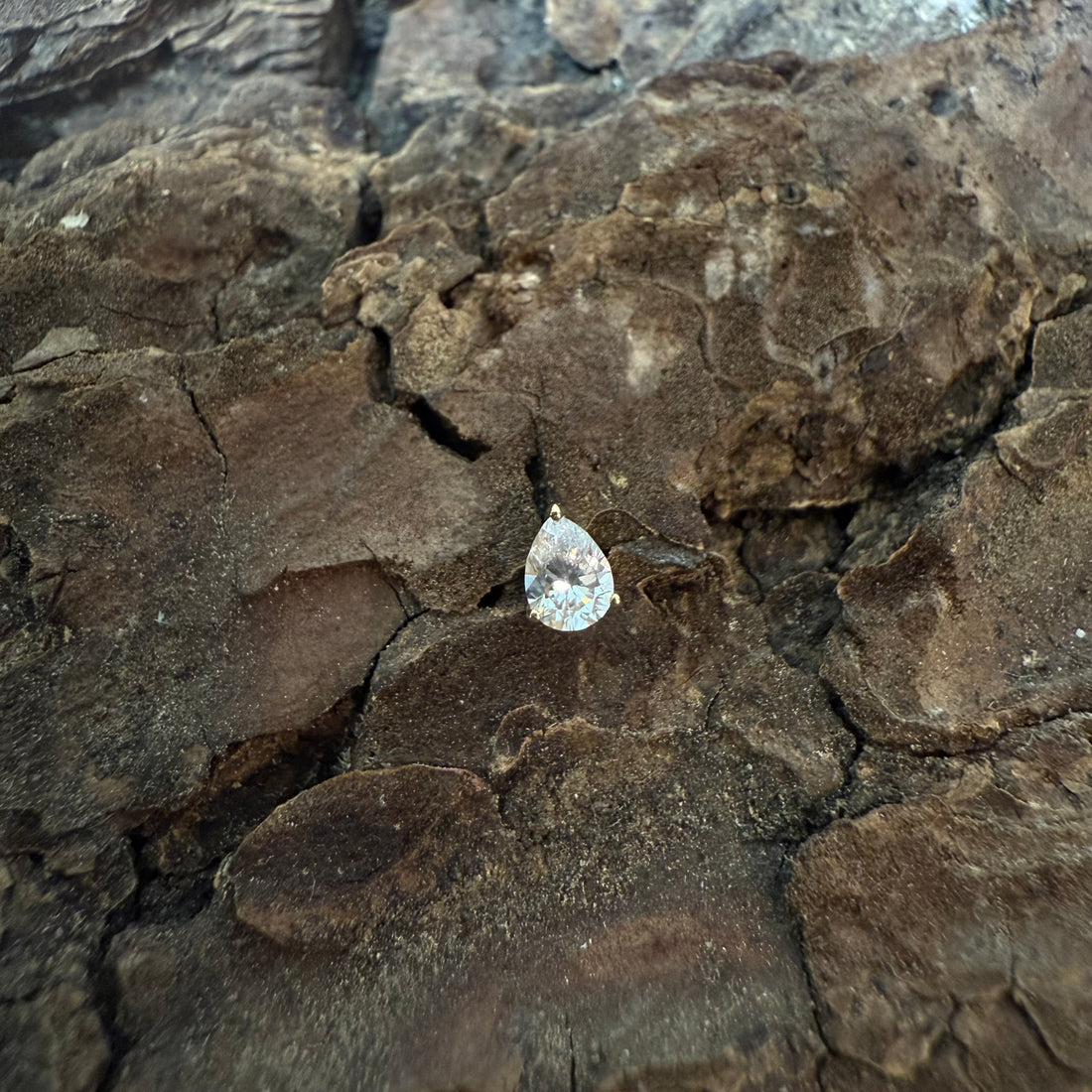 Gold Whisper Dermal Top