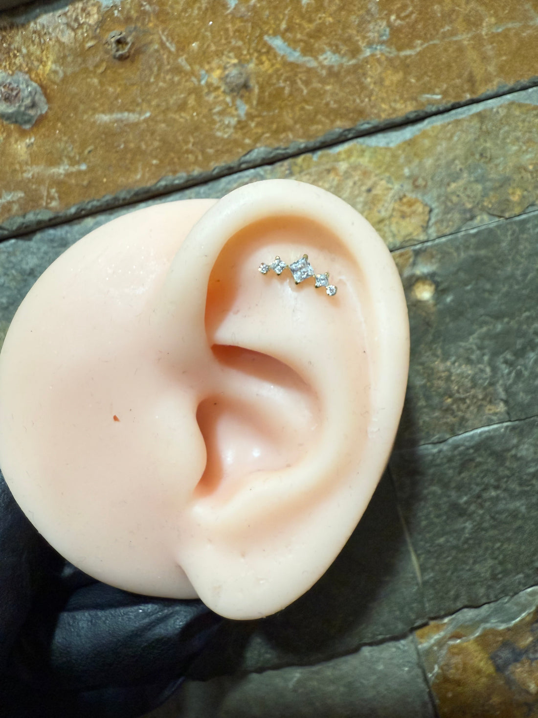 Titanium Earring 350