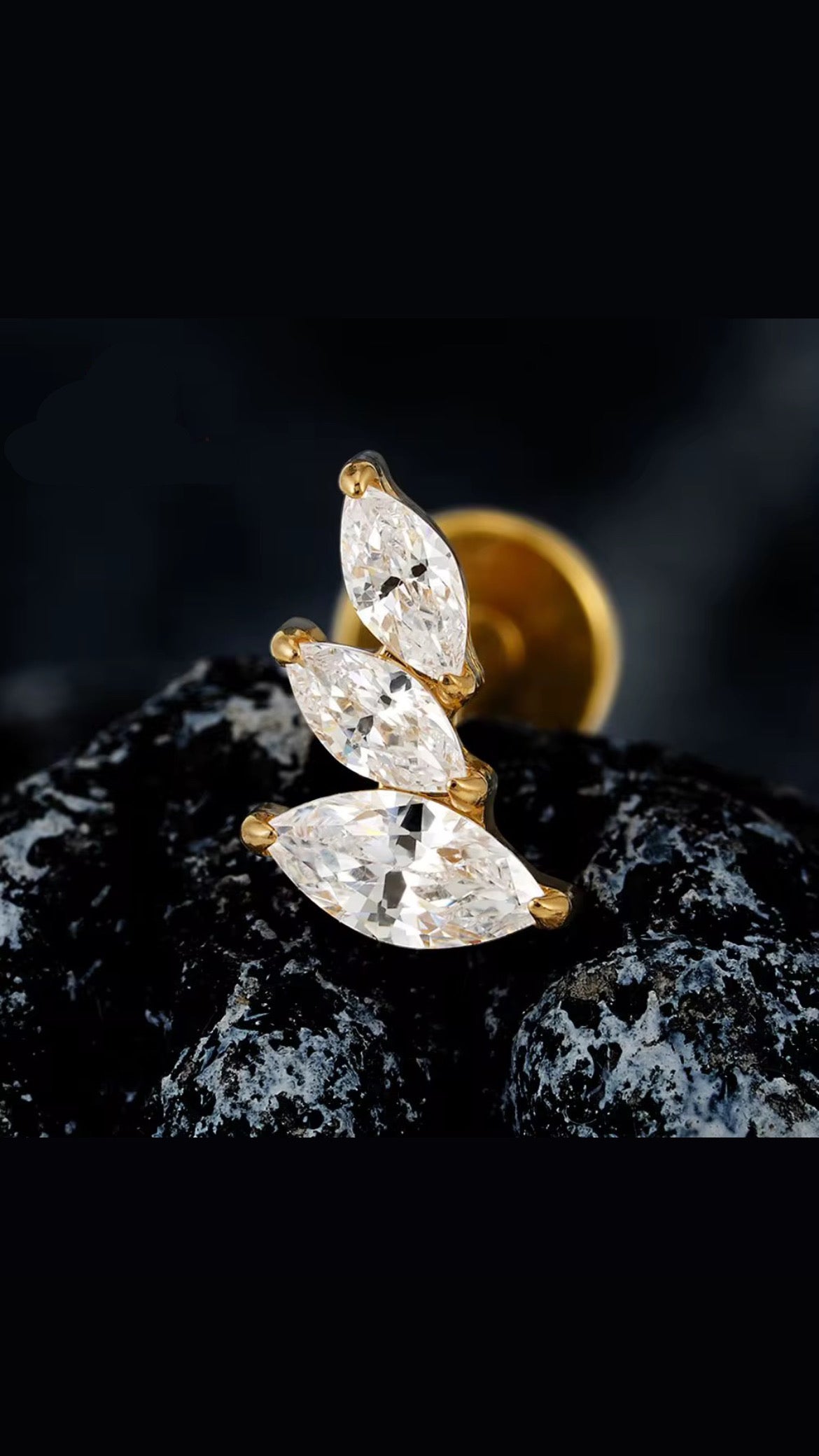 Titanium Earring 789