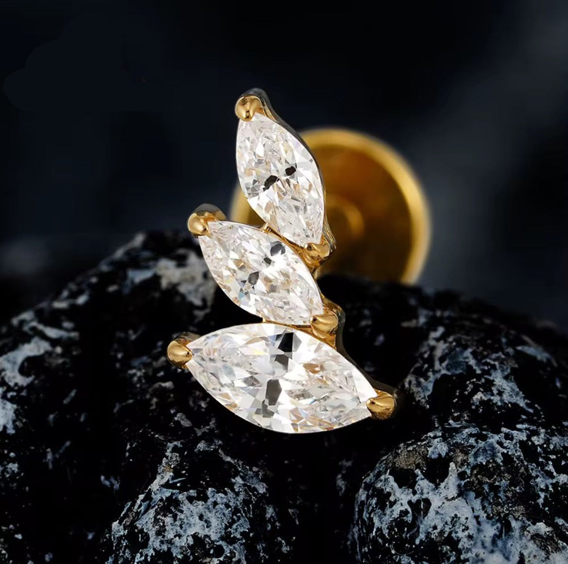 Titanium Earring 789