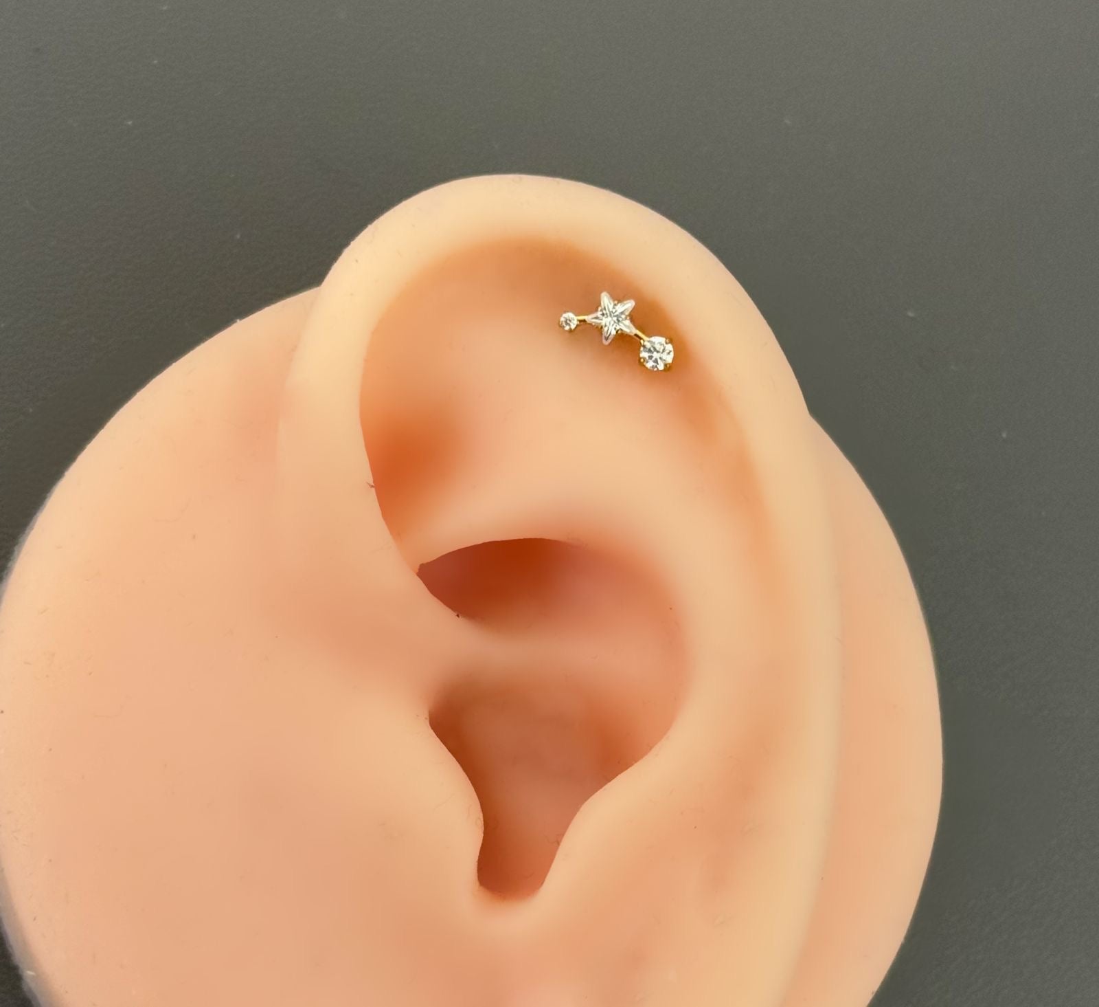 Titanium Earring 807