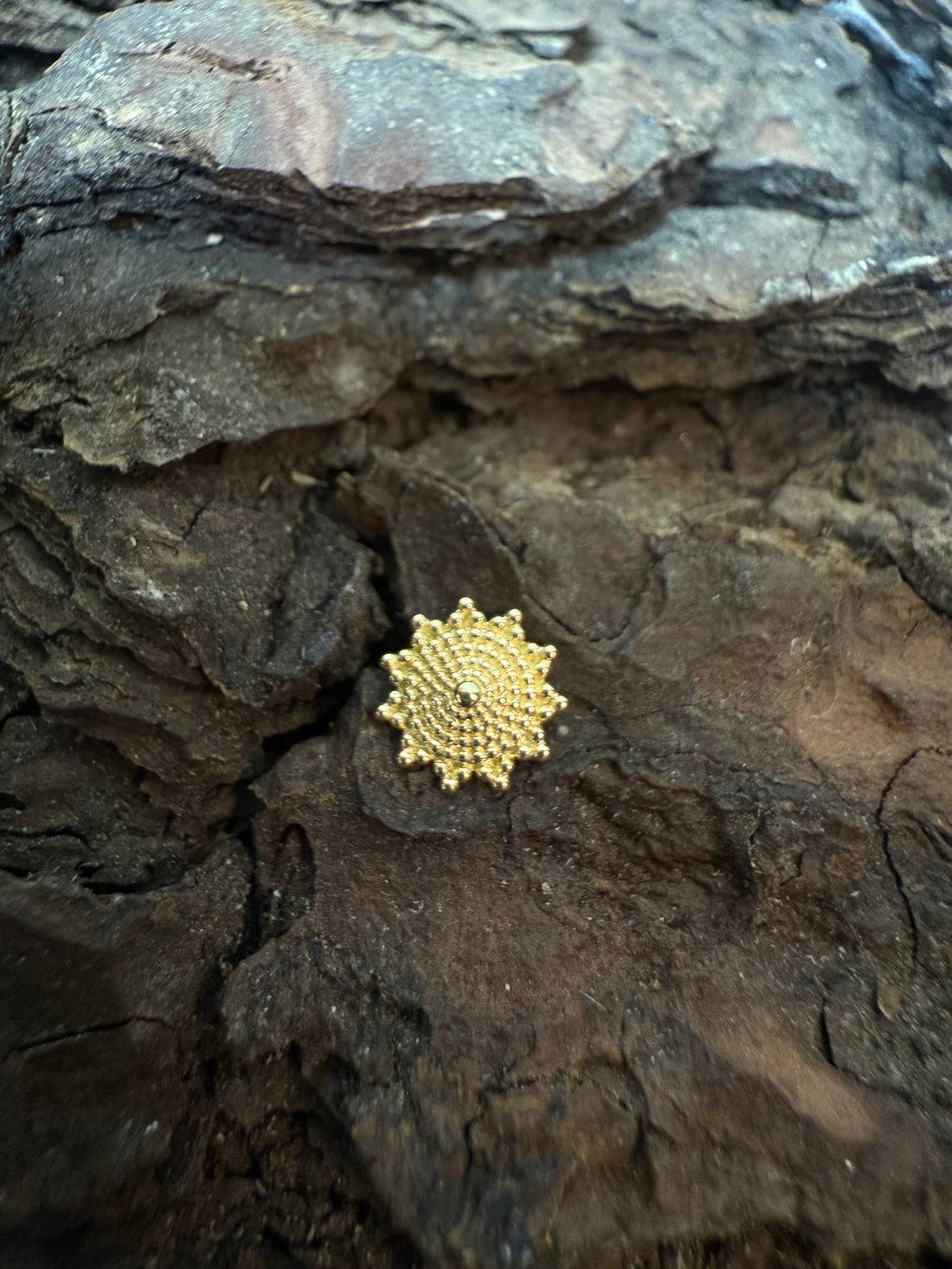 Gold Oro Dot Dermal Top