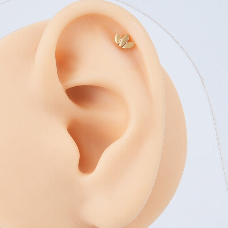 Titanium Earring 188