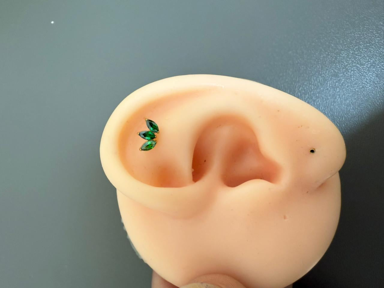 Titanium Earring 782