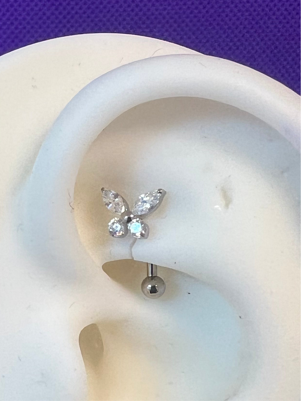 Titanium Rook-Eyebrow 13