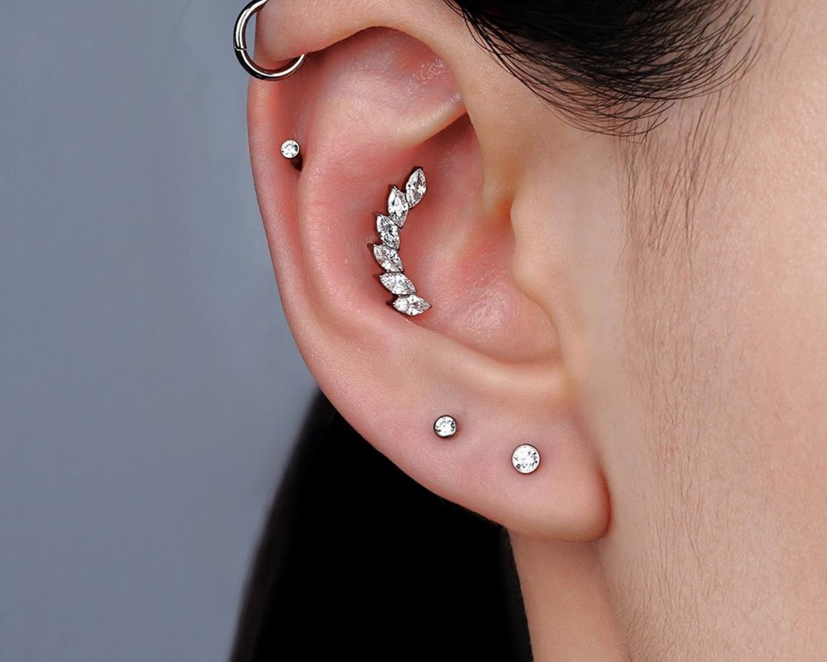 Titanium Radiant Arch Earring