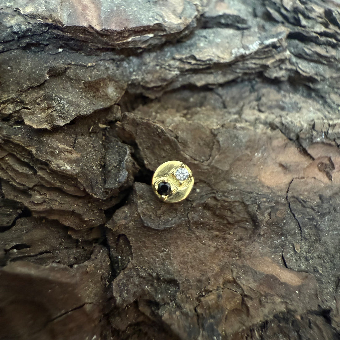 Gold Yin-Yang Dermal Top