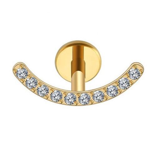 Titanium Earring 770