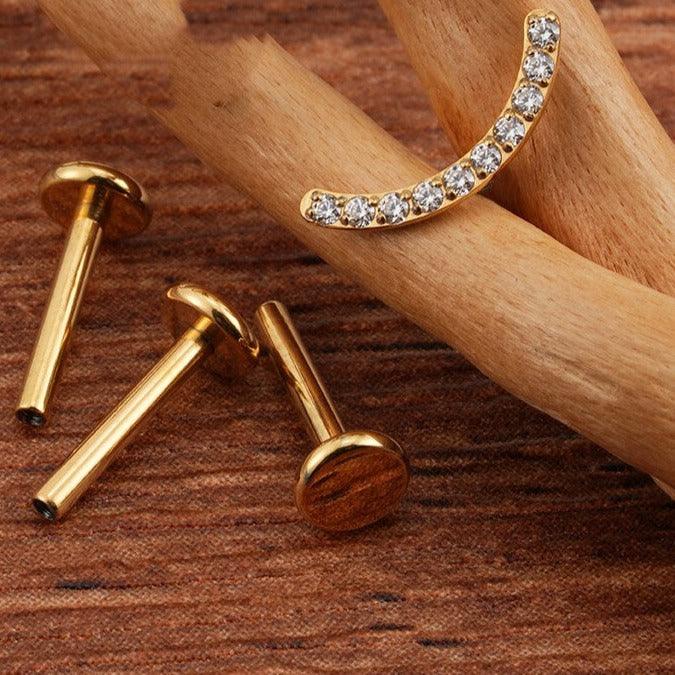 Titanium Earring 770