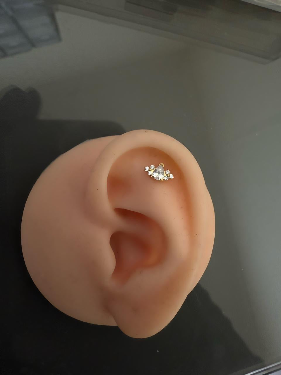 Titanium Earring 792