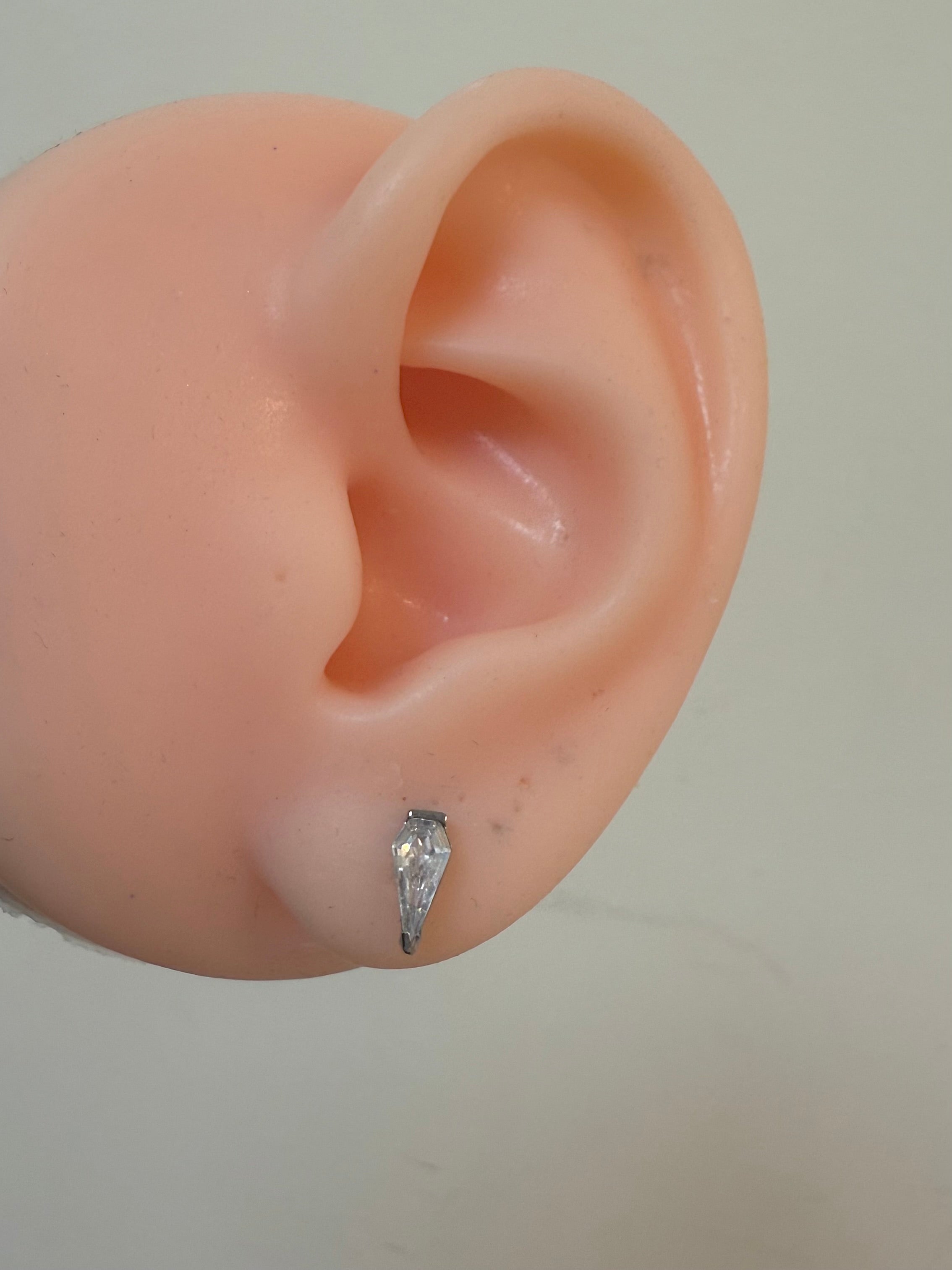 Titanium Earring 752