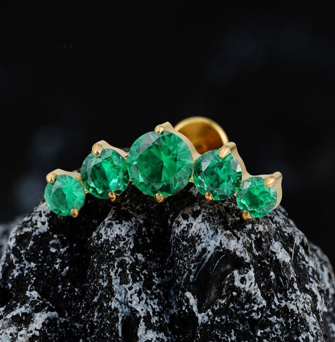 Titanium Earring 783