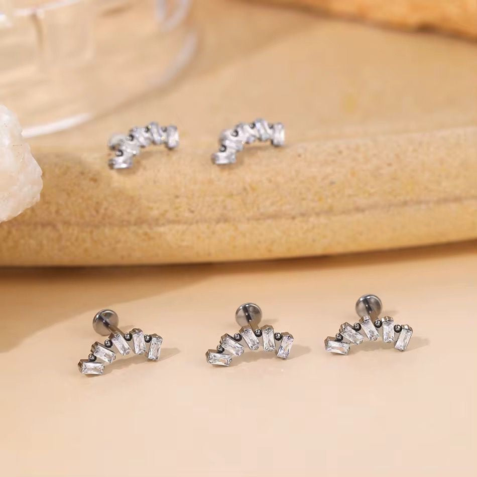 Titanium Earring 797