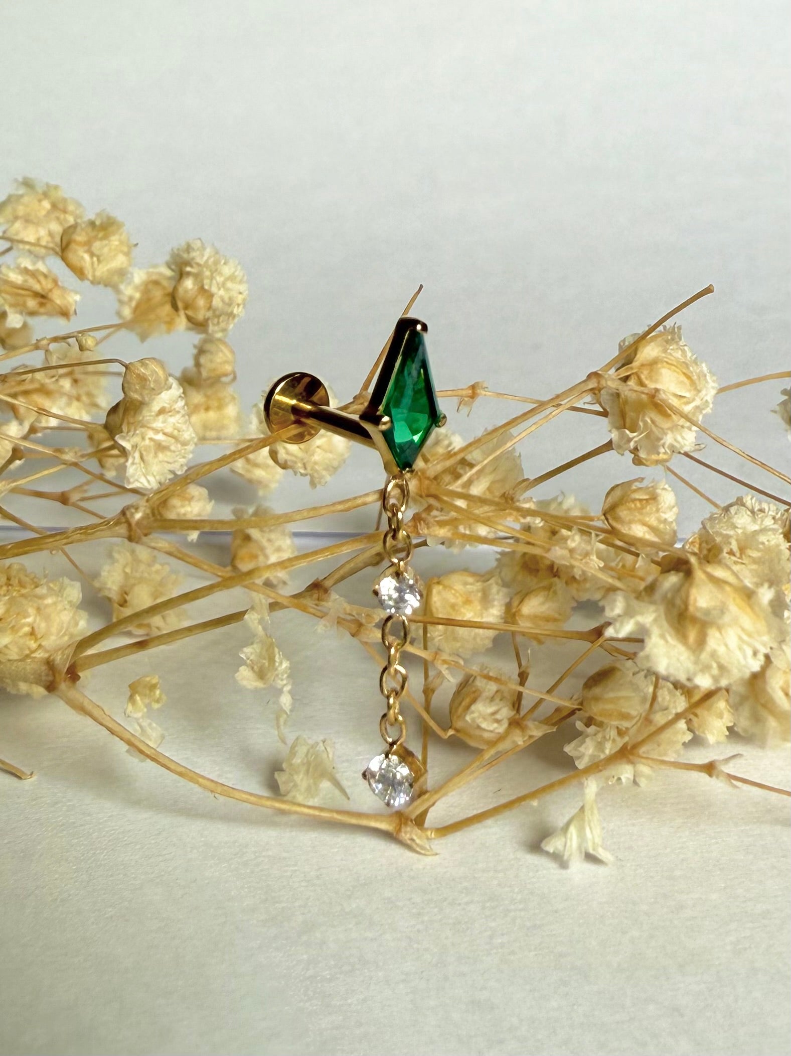 Titanium Earring 755