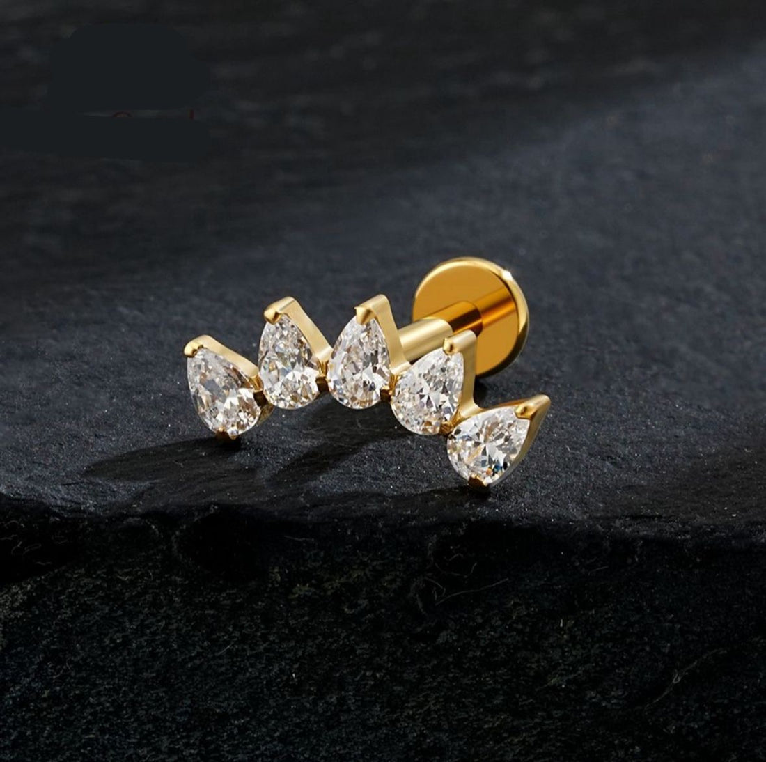 Titanium Earring 780