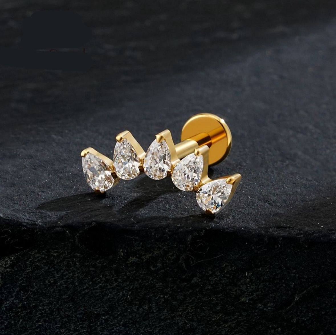 Titanium Earring 780