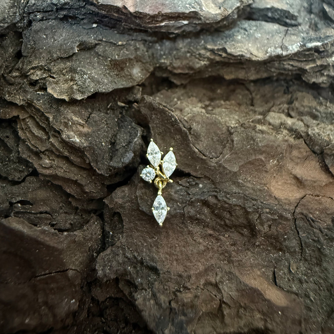 Gold Willow Spark Dermal Top