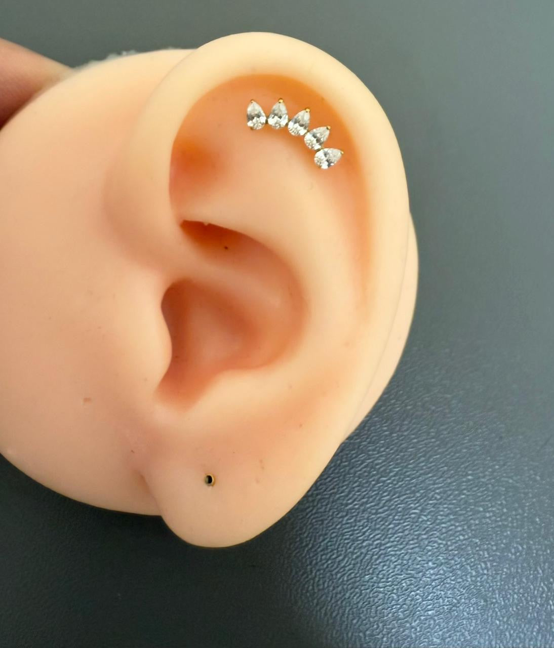 Titanium Earring 780