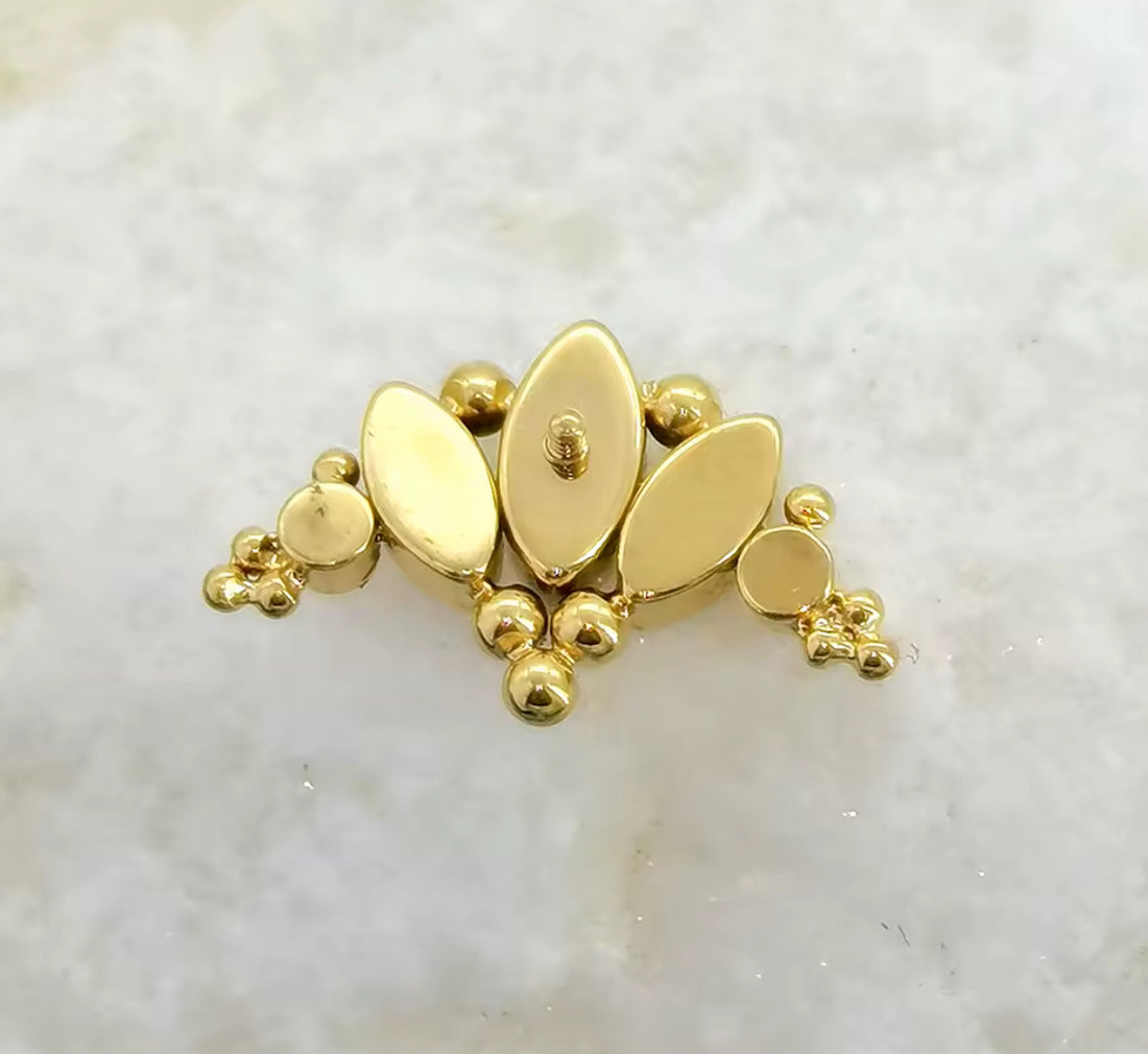 Titanium Earring 762