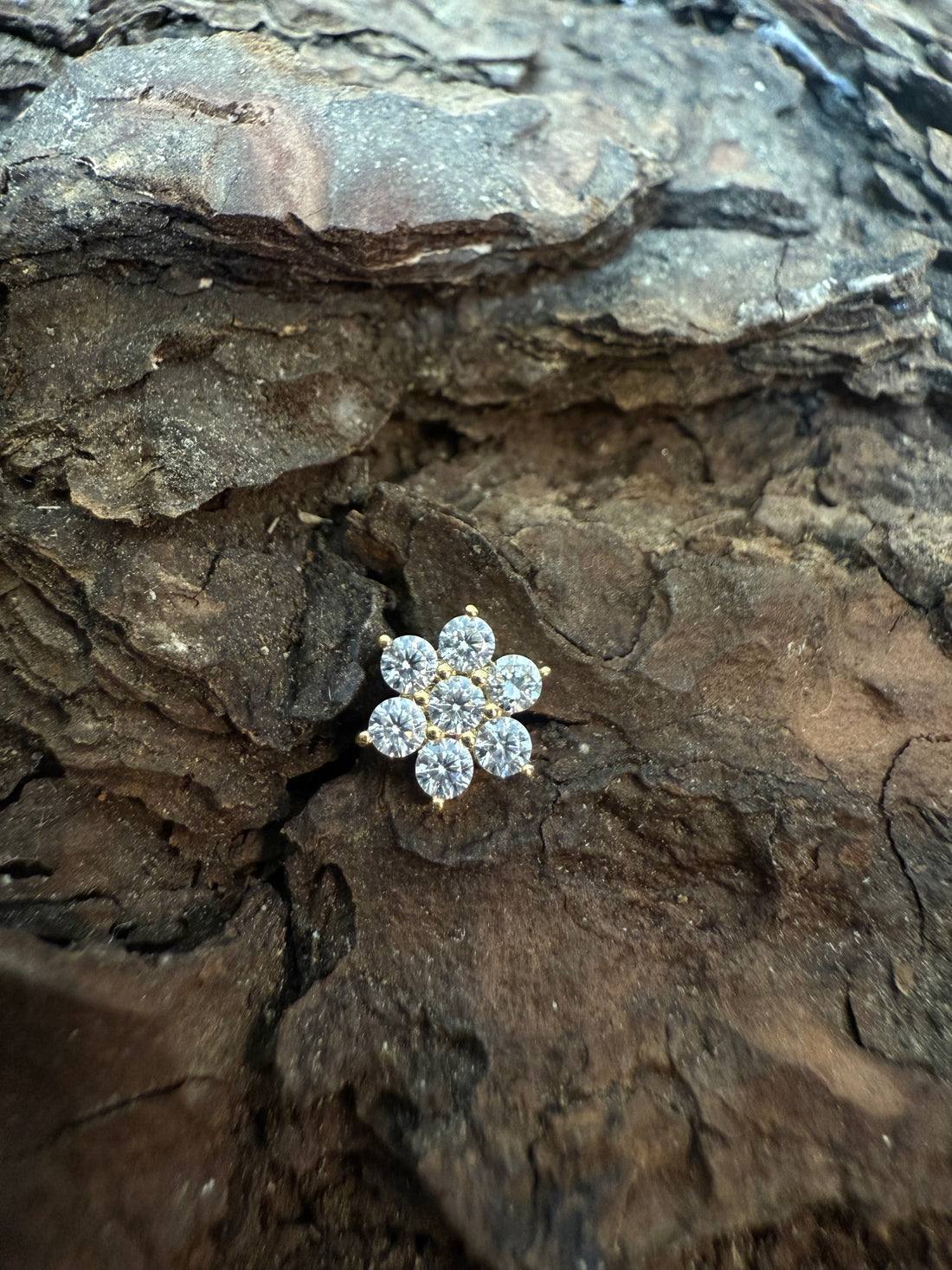 Gold Dainty Blossom Dermal Top