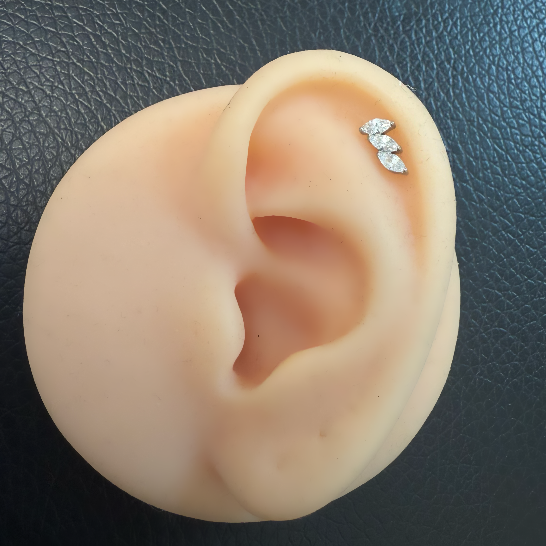 Titanium Earring 6720