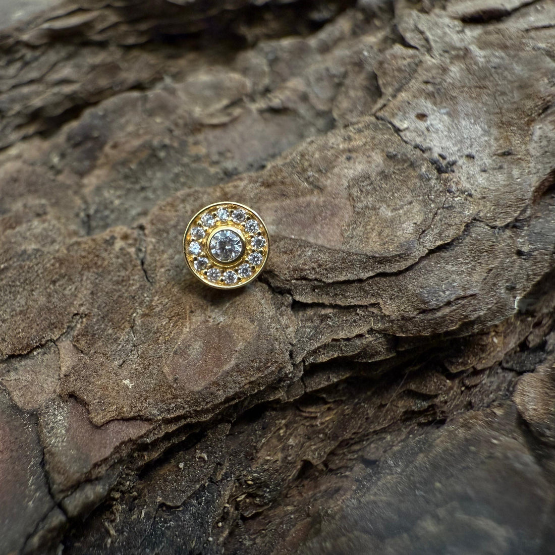 Gold Icy Solstice Dermal Top