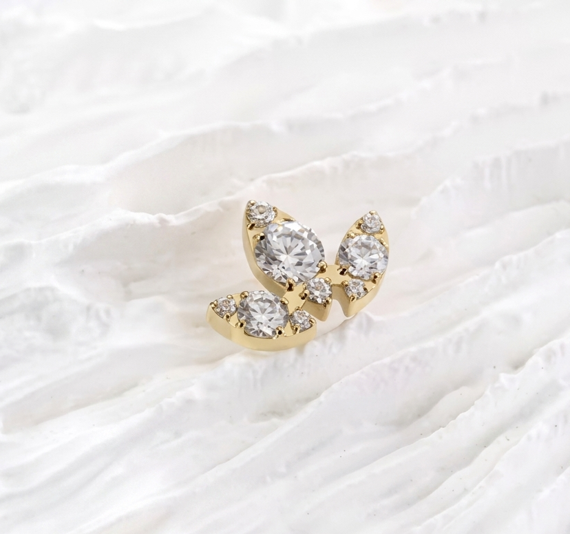 Titanium Earring 813