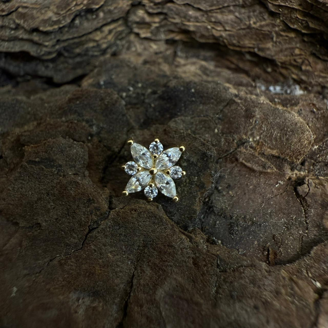 Gold Stellata Cluster Dermal Top