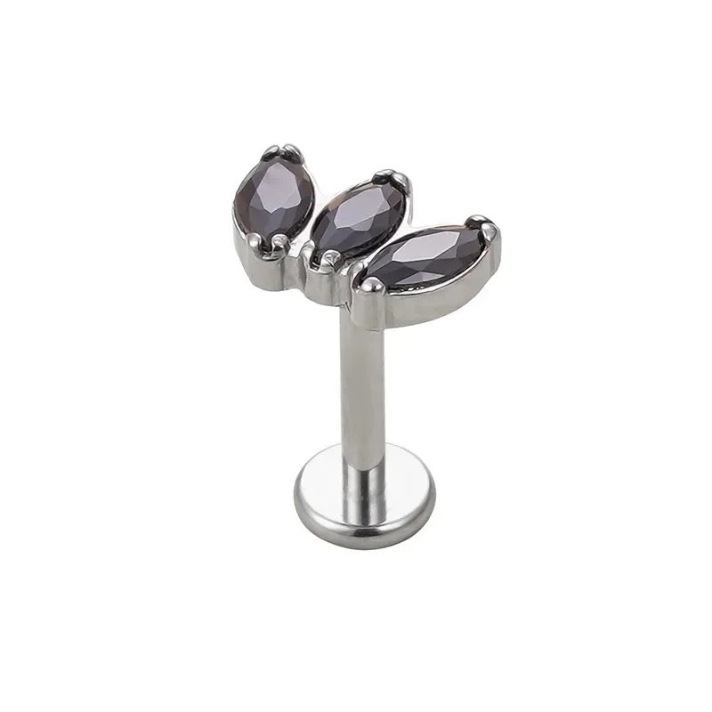 Titanium Earring 6