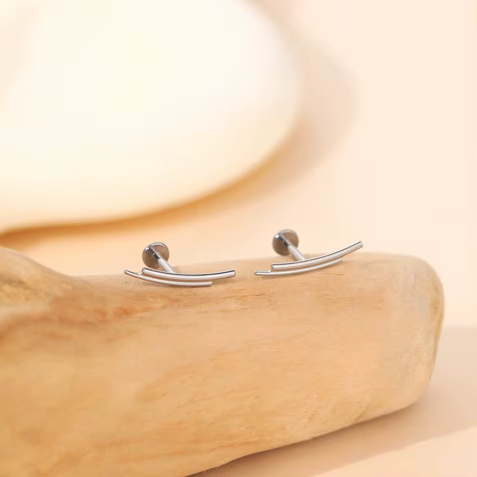 Titanium Earring 754