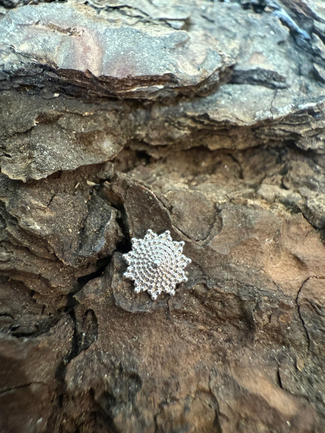 White Gold Oro Dot Dermal Top