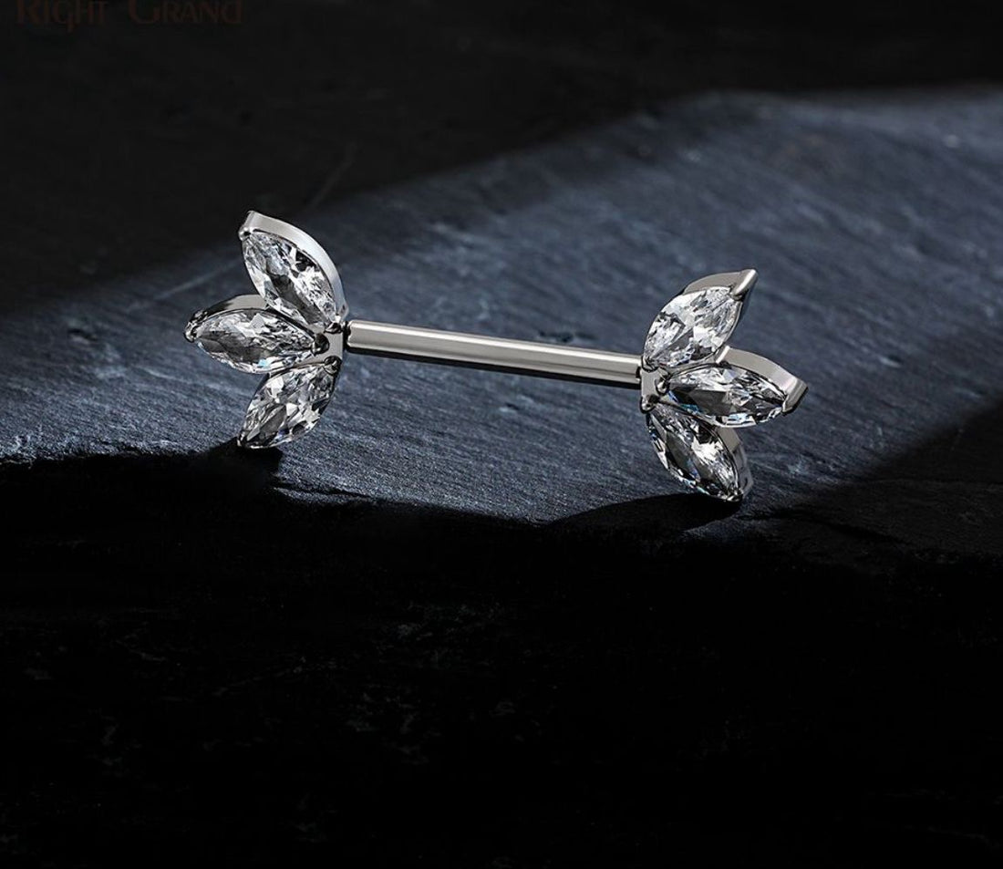 Titanium Nipple Ring 17