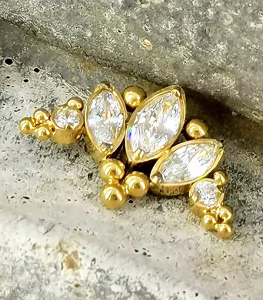 Titanium Earring 762