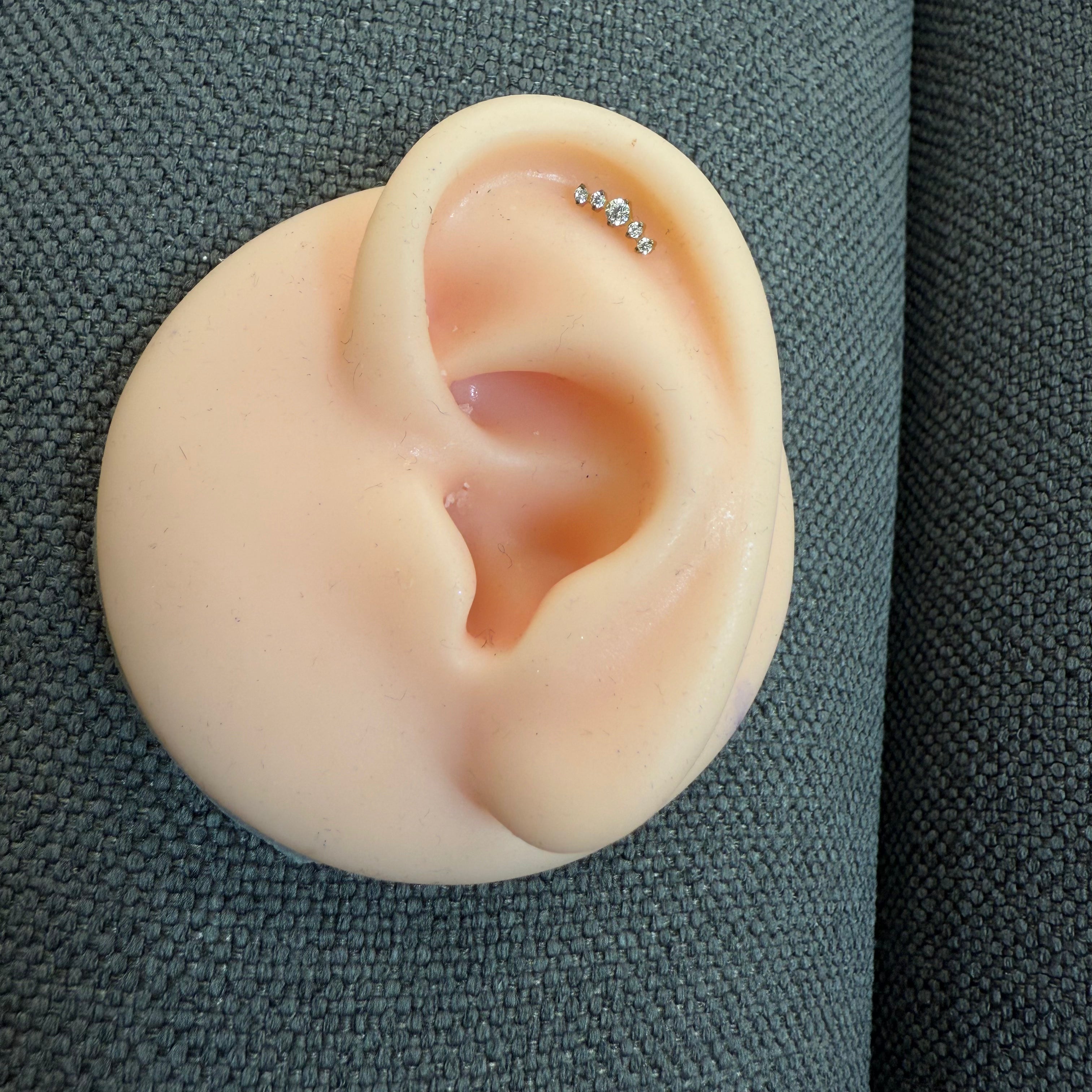 Titanium Earring 775