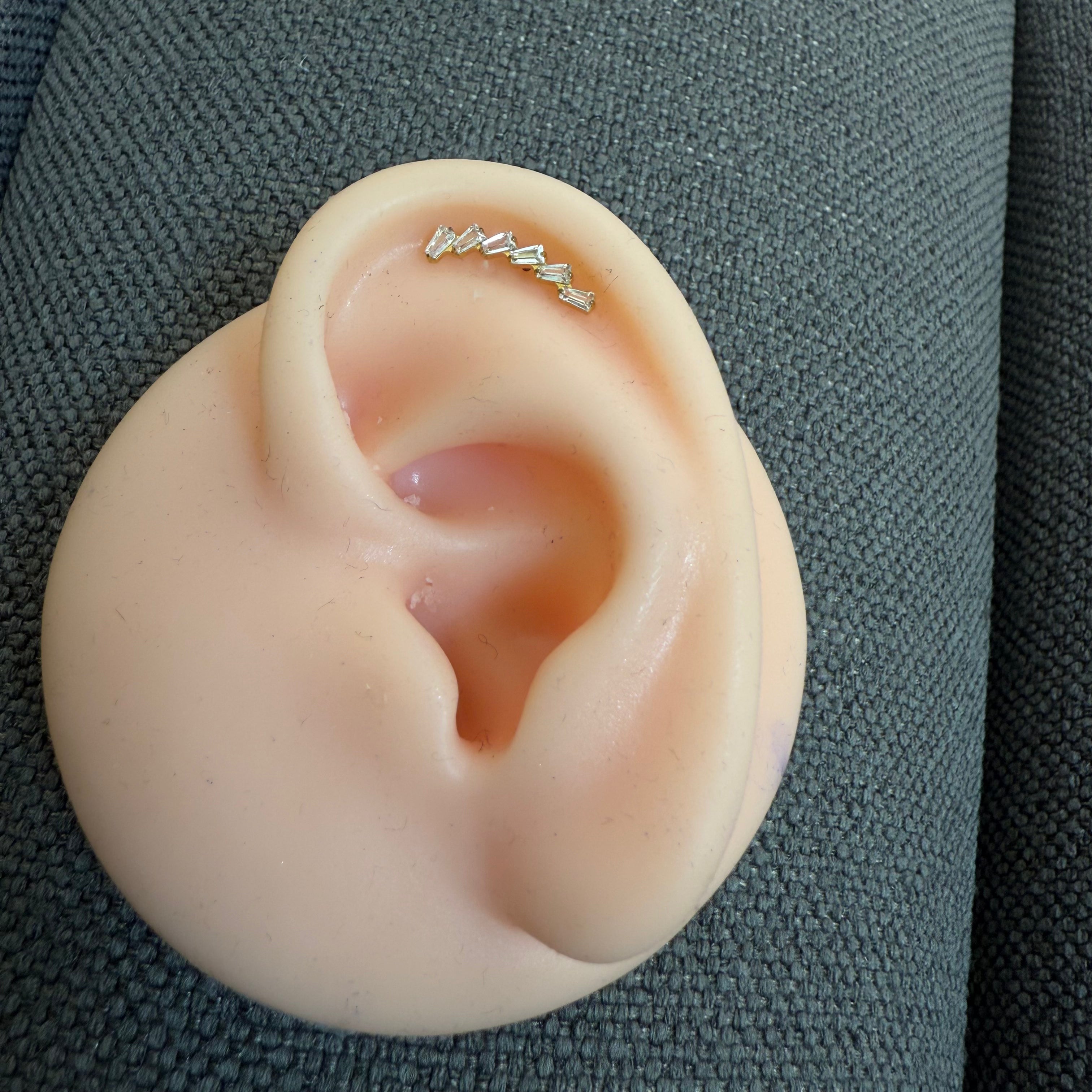 Titanium Earring 774