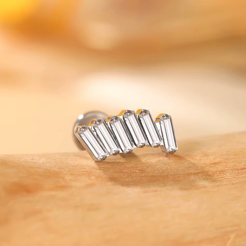 Titanium Earring 776