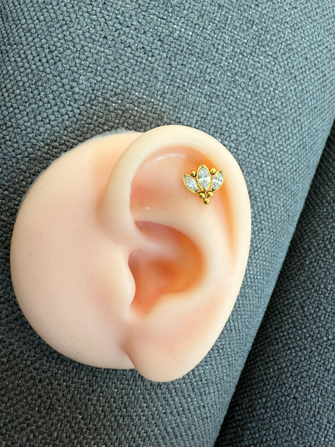 Titanium Earring 769