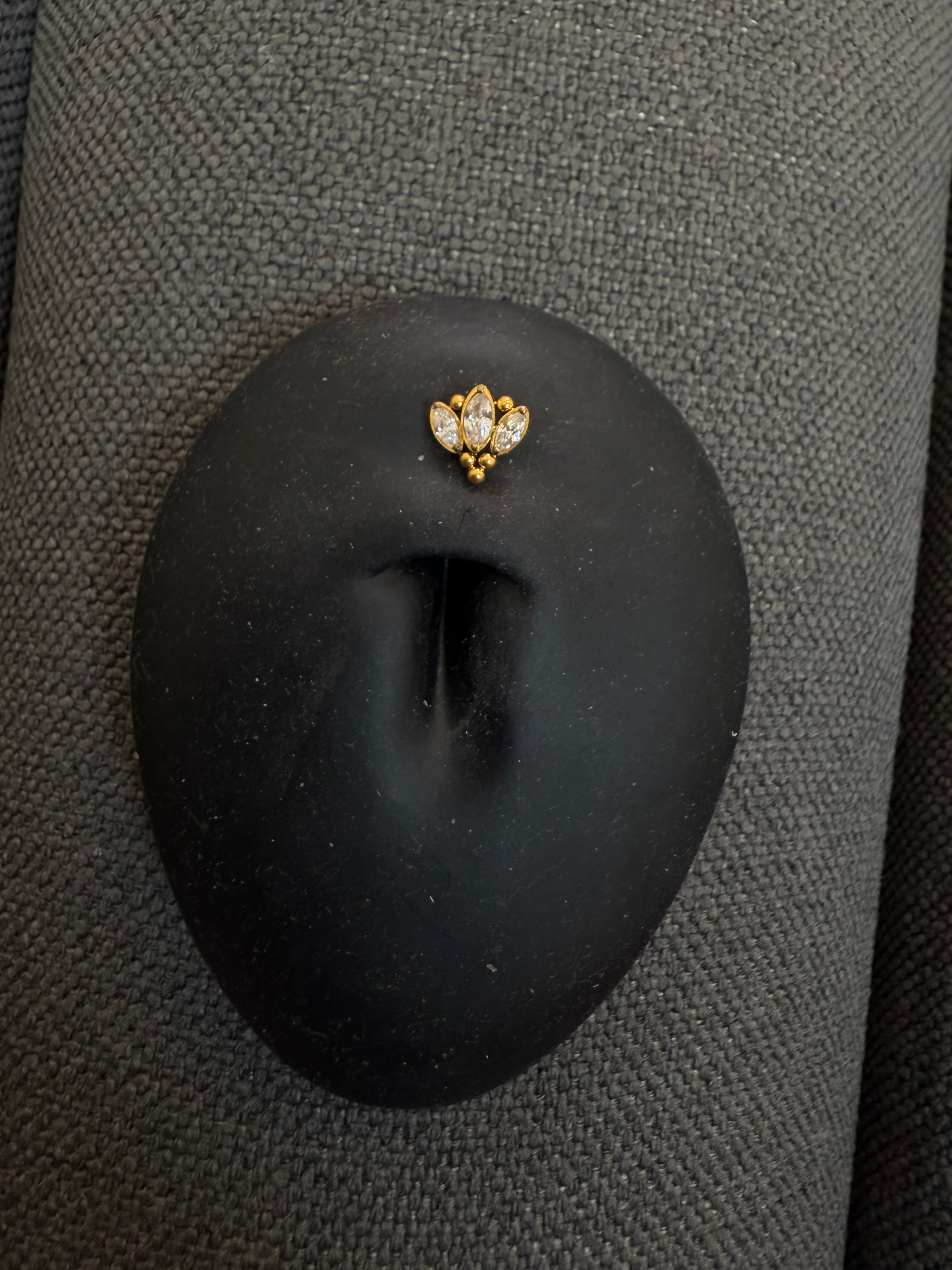 Titanium Dermal-Surface Top 25