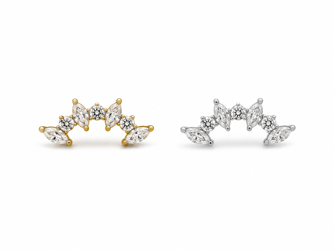 Titanium earring 9876