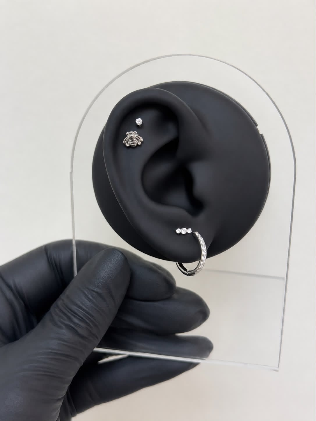 Titanium Earring 837