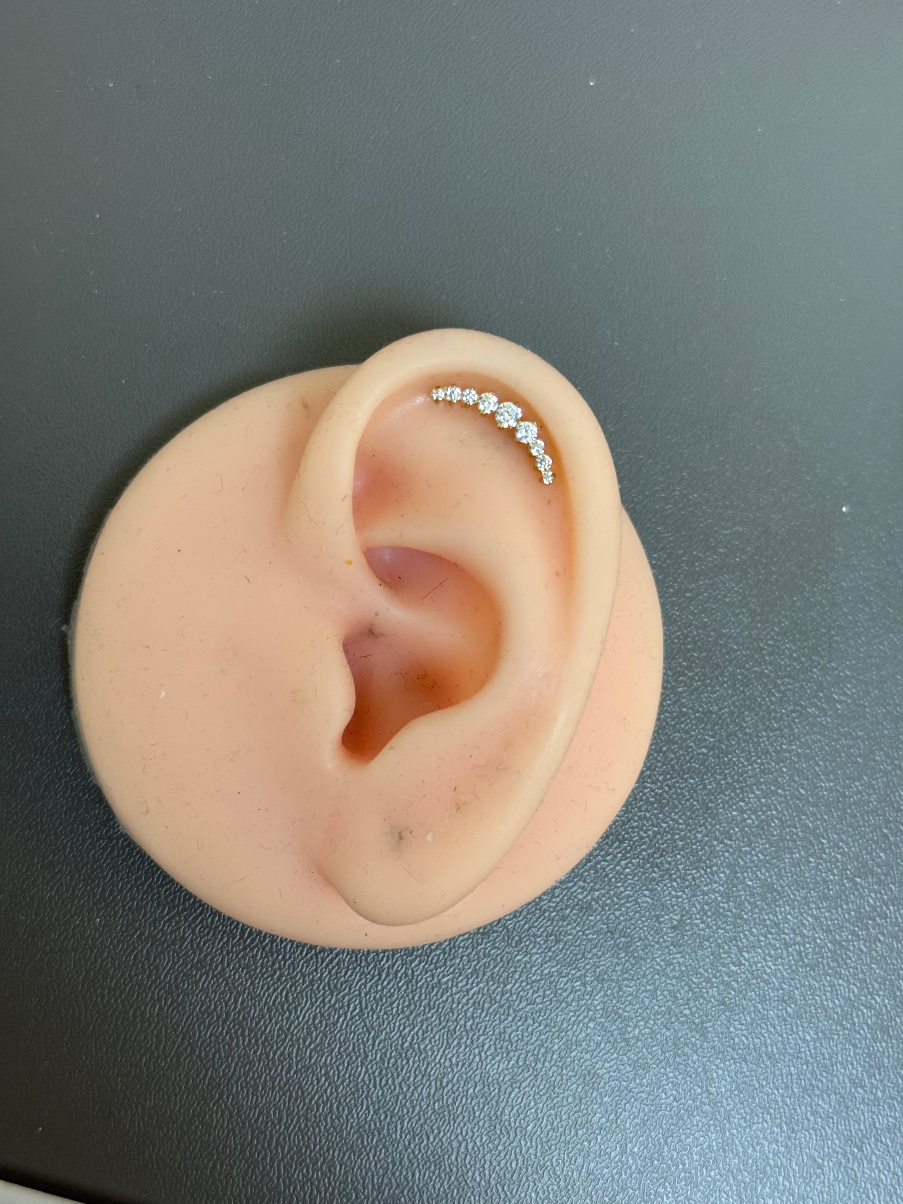 Titanium Earring 48