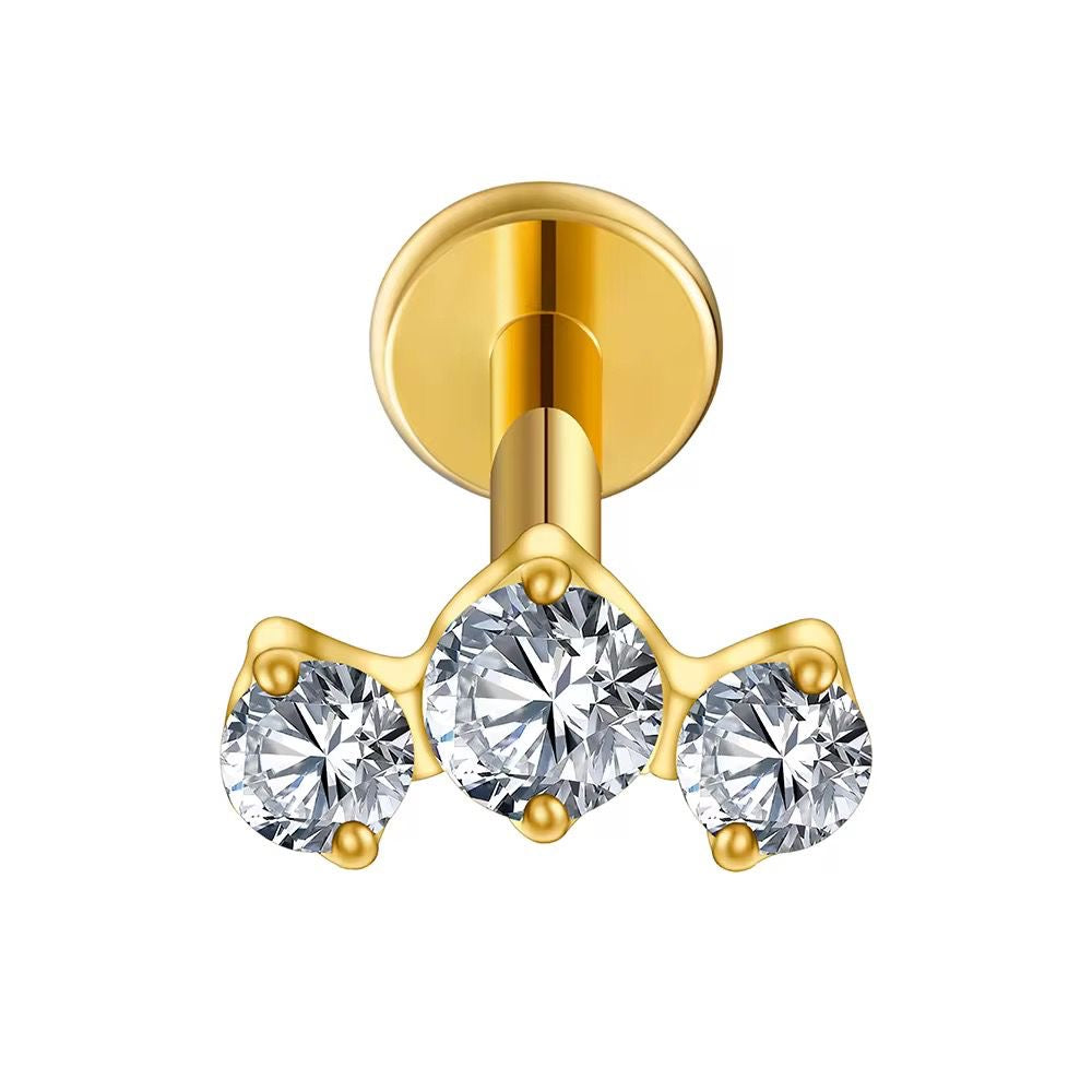 Titanium Earring 803