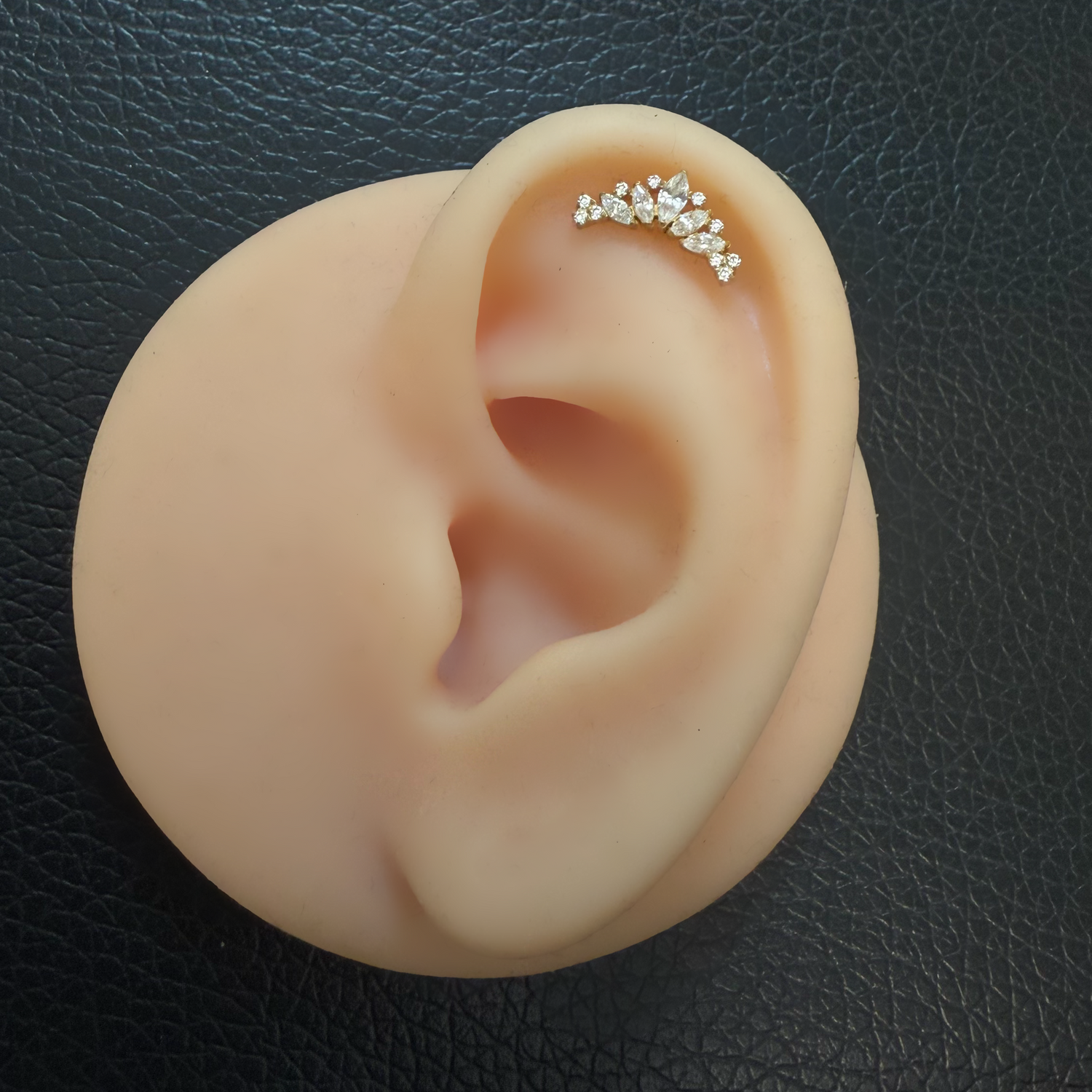 Titanium Tiara Earring