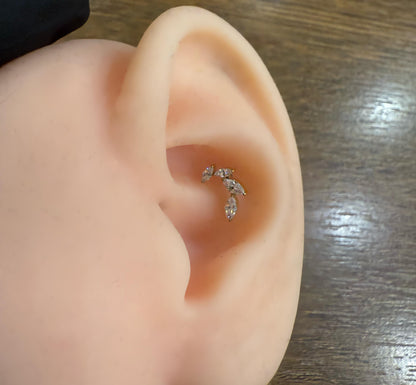 Titanium Earring 800