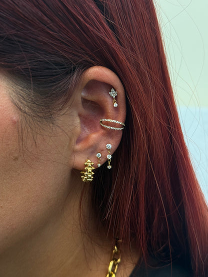 Titanium Earring 821