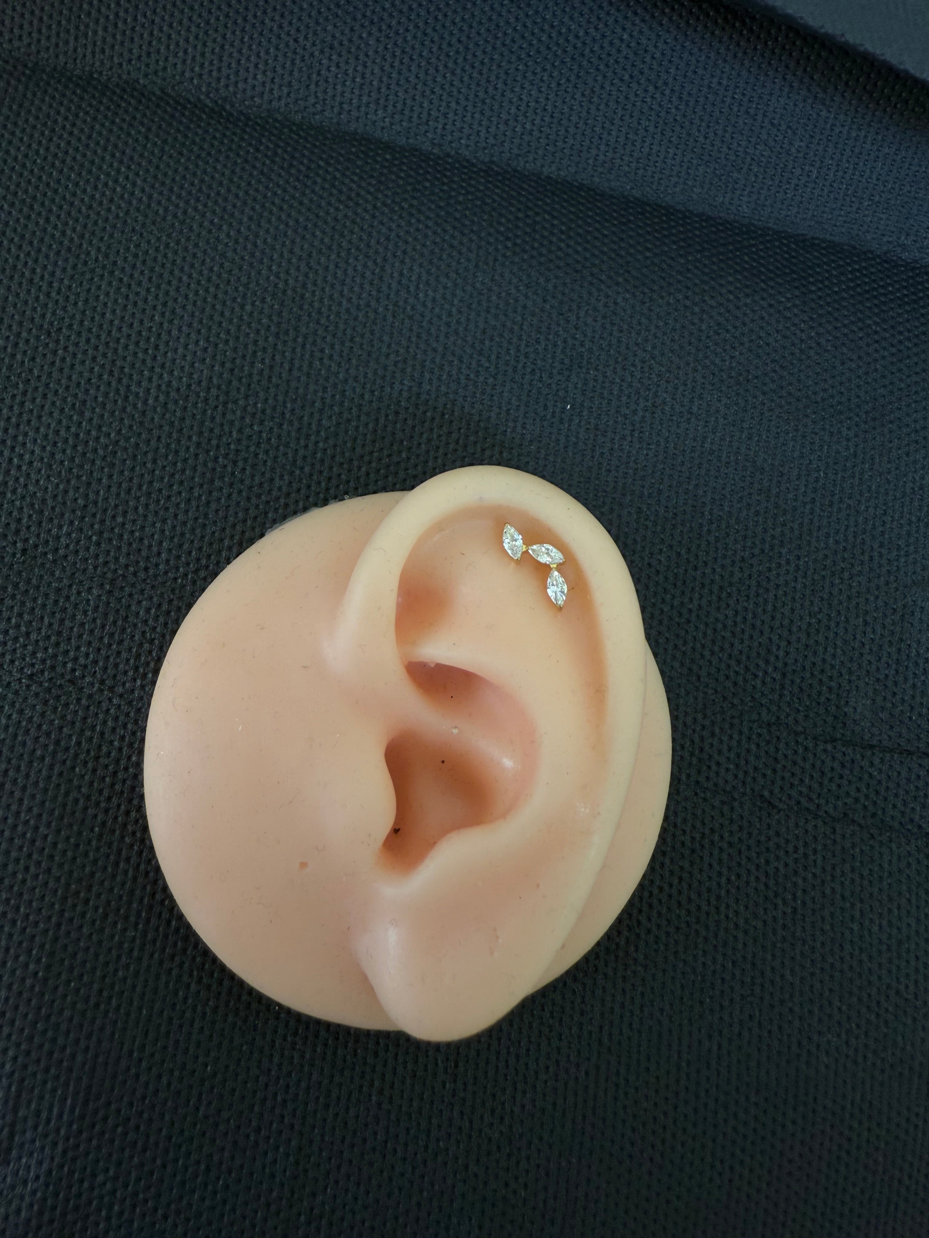 Titanium Earring 180