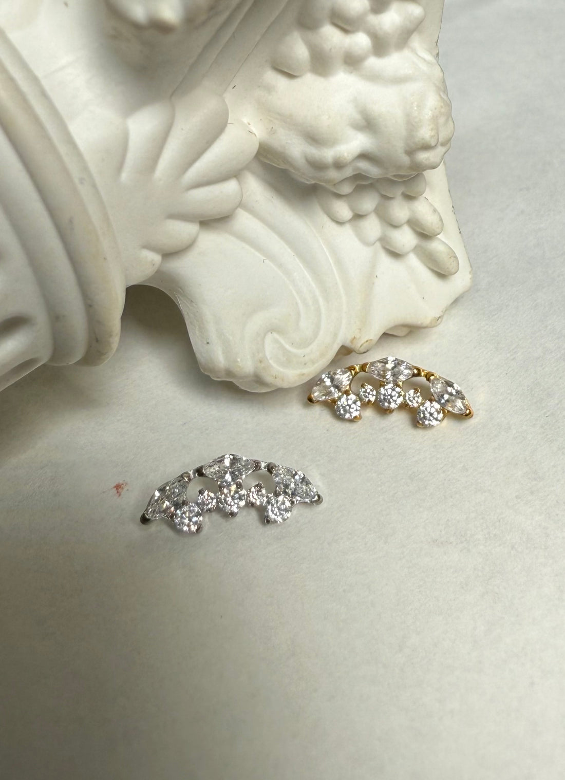 Titanium Earring 490