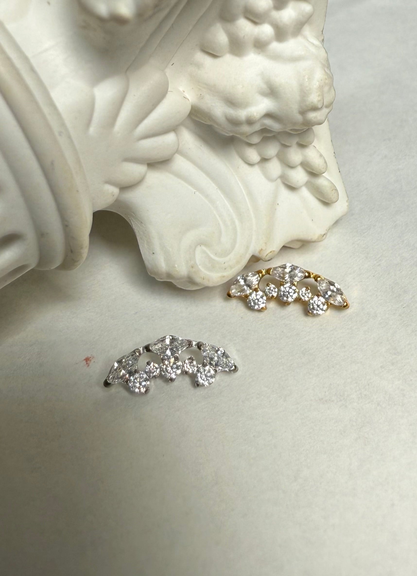 Titanium Earring 490