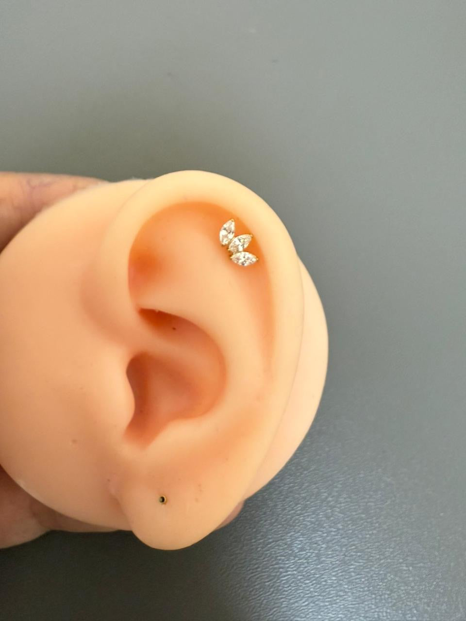 Titanium Earring 781